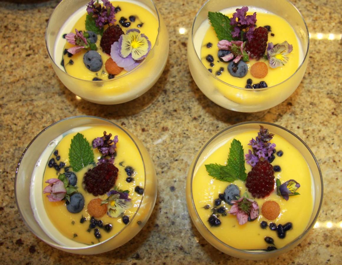 Manoir Montdidier Burgundy Bed & Breakfast Tramayes ภายนอก รูปภาพ
